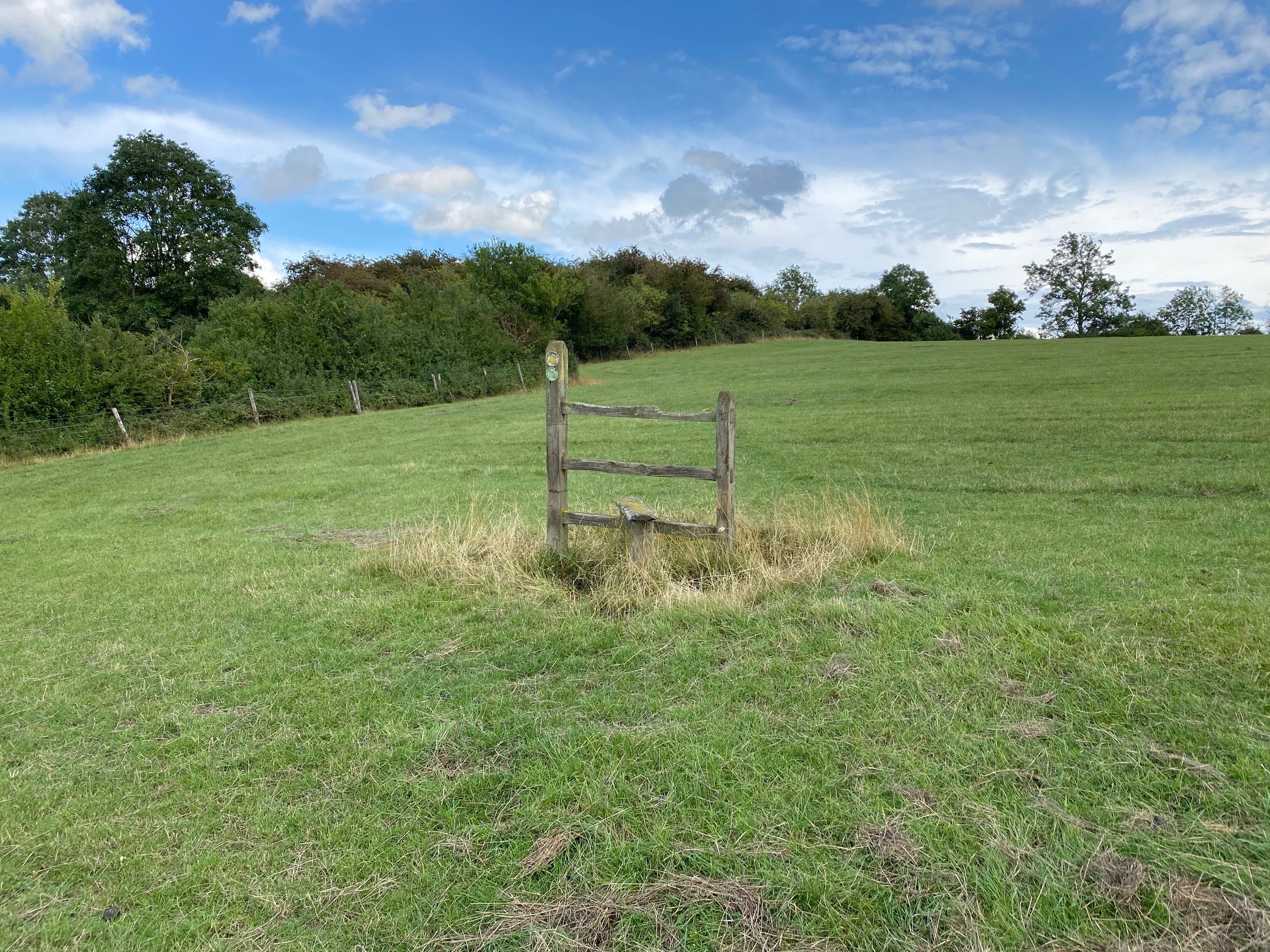 Lone Stile 2