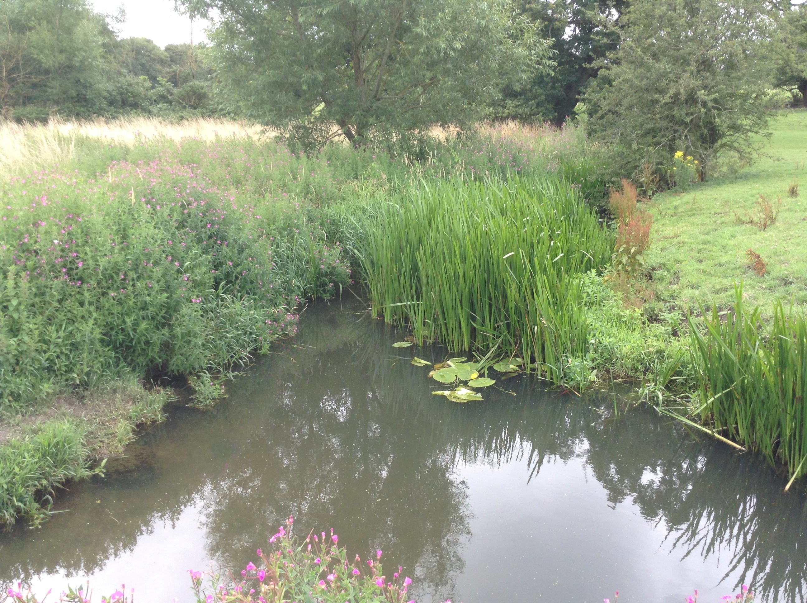 Walk One River Stowe